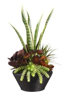 26″H X 13″W X 18″L Kalanchoe Plant/Echeveria In Bamboo Bowl Green Burgundy