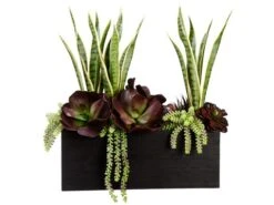 28″H X 16″W X 24″L Echeveria/Mother-In-Law’s Tongue In Bamboo Container Gre