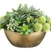 14″H X 20″W X 21″L Echeveria/Succulent/Allium In Metal Container Light Green