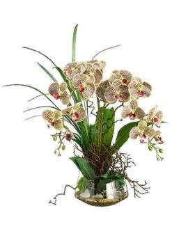 28″H X 20″W X 19″L Phalaenopsis Orchid/Twig In Glass Vase Burgundy Green