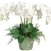 28″H X 25″W X 20″L Phalaenopsis Orchid/Lace Fern In Ceramic Square Pot White Green