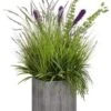 48″H X 33″W X 39″L Willow Grass/Lavender/Bells Of Ireland In Tin Planter Green P