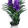 29″H X 18″W X 22″L Vanda Orchid/Finger Succulent In Glass Vase Purple Lavender