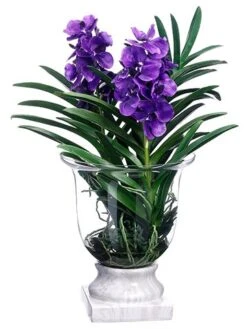 29″H X 18″W X 22″L Vanda Orchid/Finger Succulent In Glass Vase Purple Lavender