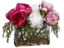 14″H X 18″W X 19″L Peony/Berry In Rectangular Glass Vase Rubrum Cream