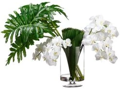 30″H X 29″W X 40″L Phalaenopsis/Selloum Leaf/Palm Leaf In Glass Vase W