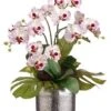 25″H X 18″W X 23″L Bird’s Nest Leaf/Phalaenopsis In Silver Ball White Orchid