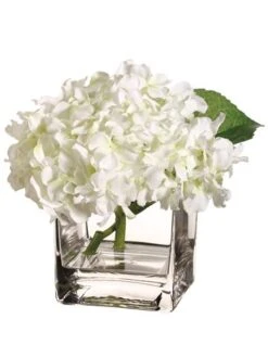 7″H X 7″W X 7″L Hydrangea In Vase White