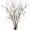 48″H X 30″W X 30″L Quince Blossom/Twig In Glass Vase Cream