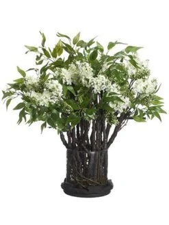 31″H X 29″W X 32″L Lilac/Twig In Cylinder Glass Vase Cream Green