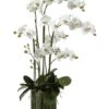 44″H X 21″W X 29″L Orchids In Soil Glass Vase White