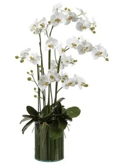 44″H X 21″W X 29″L Orchids In Soil Glass Vase White