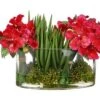 10.5″H X 13″W X 19″L Vanda Orchid in Glass Vase Beauty Green