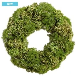 19″H X 19″W X 19″LSedum/Skimmia/Berry WreathGreen