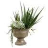 30″H X 22″W X 27″L Agave/ Echeveria In Tin Pot Green