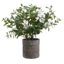 27″H X 21″W X 29″L Azalea In Planter Green White