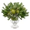 18″H X 18″W X 19″L Echeveria/Protea In Glass Vase Green