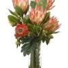 26″H X 17″W X 17″L Protea/Leucopermum In Glass Vase Orange
