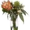 16″H X 15″W X 15″L Protea/Eucalyptus/Wolly In Glass Vase Orange