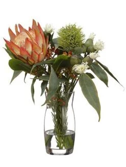 16″H X 15″W X 15″L Protea/Eucalyptus/Wolly In Glass Vase Orange