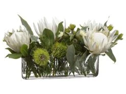 13″H X 11″W X 23″L Protea/Eucalyptus/Wolly In Vase Cream