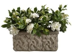 17.5″ Gardenia In Stone Planter Cream
