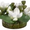 11″H X 18.5″W X 19″L Lotus Flowers In Round Glass Vase Green