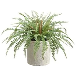 14″ Sword Fern In Cement Container Green