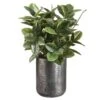 36″H X 24″W X 24″L Rubber PlantIn 15″H X 11.8″D TexturedAntique Zinc Planter Green