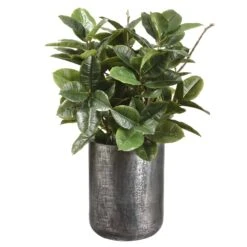 36″H X 24″W X 24″L Rubber PlantIn 15″H X 11.8″D TexturedAntique Zinc Planter Green