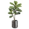 42″H X 23″W X 23″L Fiddle LeafPlant In 11.8″H X 10″D TexturedAntique Zinc Planter Green