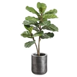 42″H X 23″W X 23″L Fiddle LeafPlant In 11.8″H X 10″D TexturedAntique Zinc Planter Green