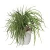 18.5″H X 18″W X 22″L Mixed Grass/Driftwood In Coral Vase Green Brown