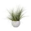 44″H X 46″Wx46″L Wild Grass In Cement Pot Green