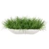 10″H X 17″Wx26″L Soft Grass In Low Coral Vase Green