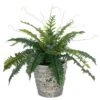 19″ Boston Fern In Cement Pot Green