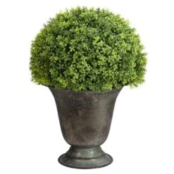 13″H X 10″W X 10″L Baby Tear Ball Topiary In Metal Urn Green