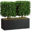 24″H X 12″W X 26″L Boxwood Topiary In Rectangular Bamboo Container Green