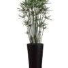 7.5’H Cypress In Bamboo Tall Container Green