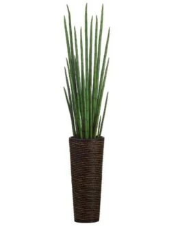 60″ Snake Grass In Bamboo/Rope Container Green