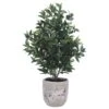 45″H X 22″W X 26″L Olive Tree In Cement Planter Green