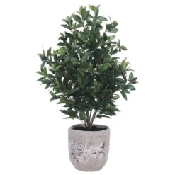 45″H X 22″W X 26″L Olive Tree In Cement Planter Green