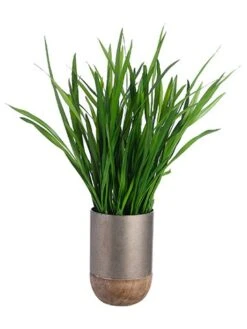 28″H X 12″W X 24″L Cymbidium Orchid Foliage In Iron/Wood Planter Green