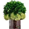 11″H X 8″W X 8″L Preserved Boxwood In Glass Vase Green