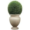 45″H X 23″Wx23″L Large Preserved Boxwood Ball In Cement Planter Green