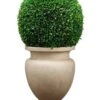 45″H X 23″W X 23″L Large Preserved Boxwood Ball In Cement Planter Green