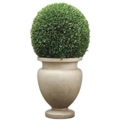45″H X 23″W X 23″L LargePreserved Boxwood Ball InCement Planter Green