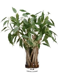 35″H X 36″W X 36″L Eucalyptus Drift Wood In Glass Vase Green