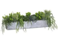 12″H X 33″W X 13″L Aeonium/Cactus Mix In Aluminum Rectangular Planter Green