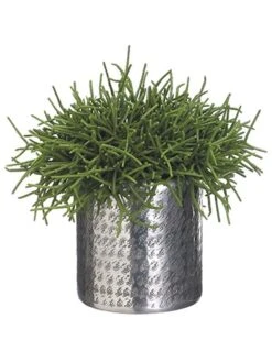 9.5″H X 10″W X 11.5″L Pencil Cactus In Aluminum Planter Green